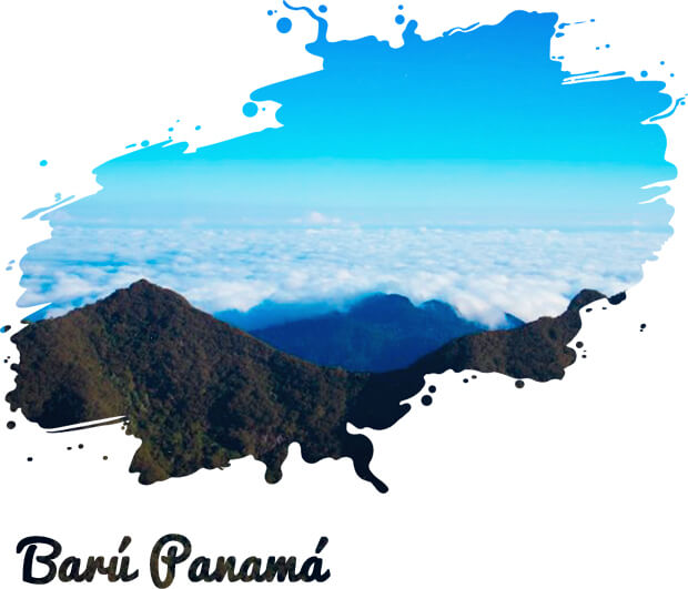 baru-panama