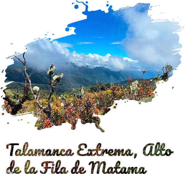 talamanca-extrema-alto-fila-matama