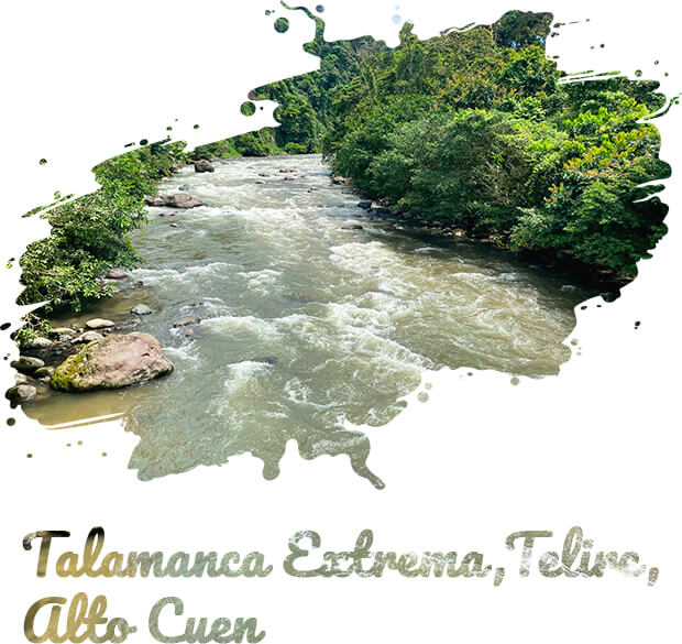 talamanca-extrema-telire-alto-cuen