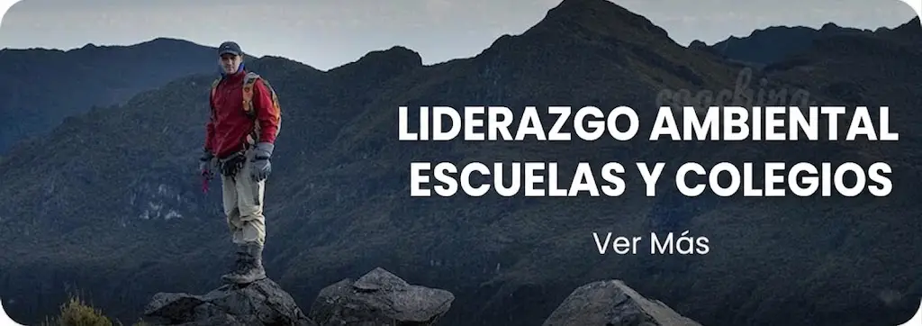 Liderazgo Ambiental Escuelas y Colegios-v2