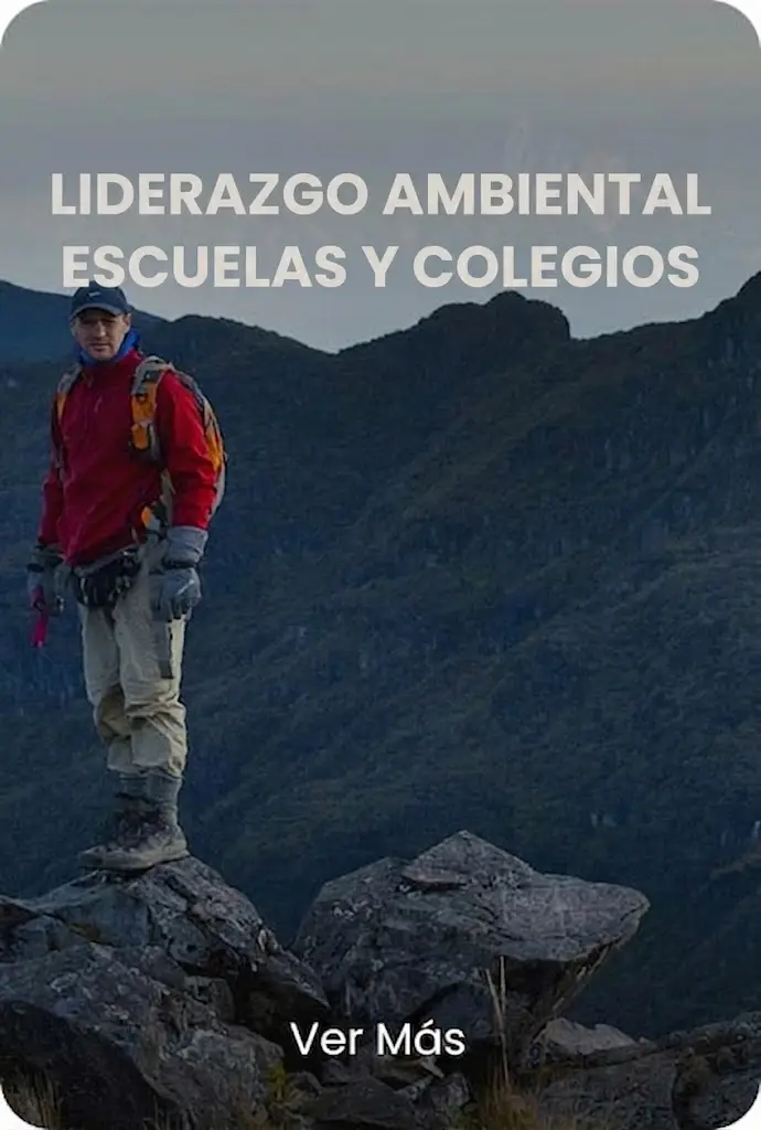 Liderazgo Ambiental Escuelas y Colegios