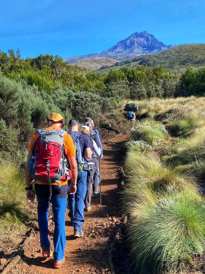 Montañistas subiendo por el páramo del Kilimanjaro, con el Mawenzi al fondo