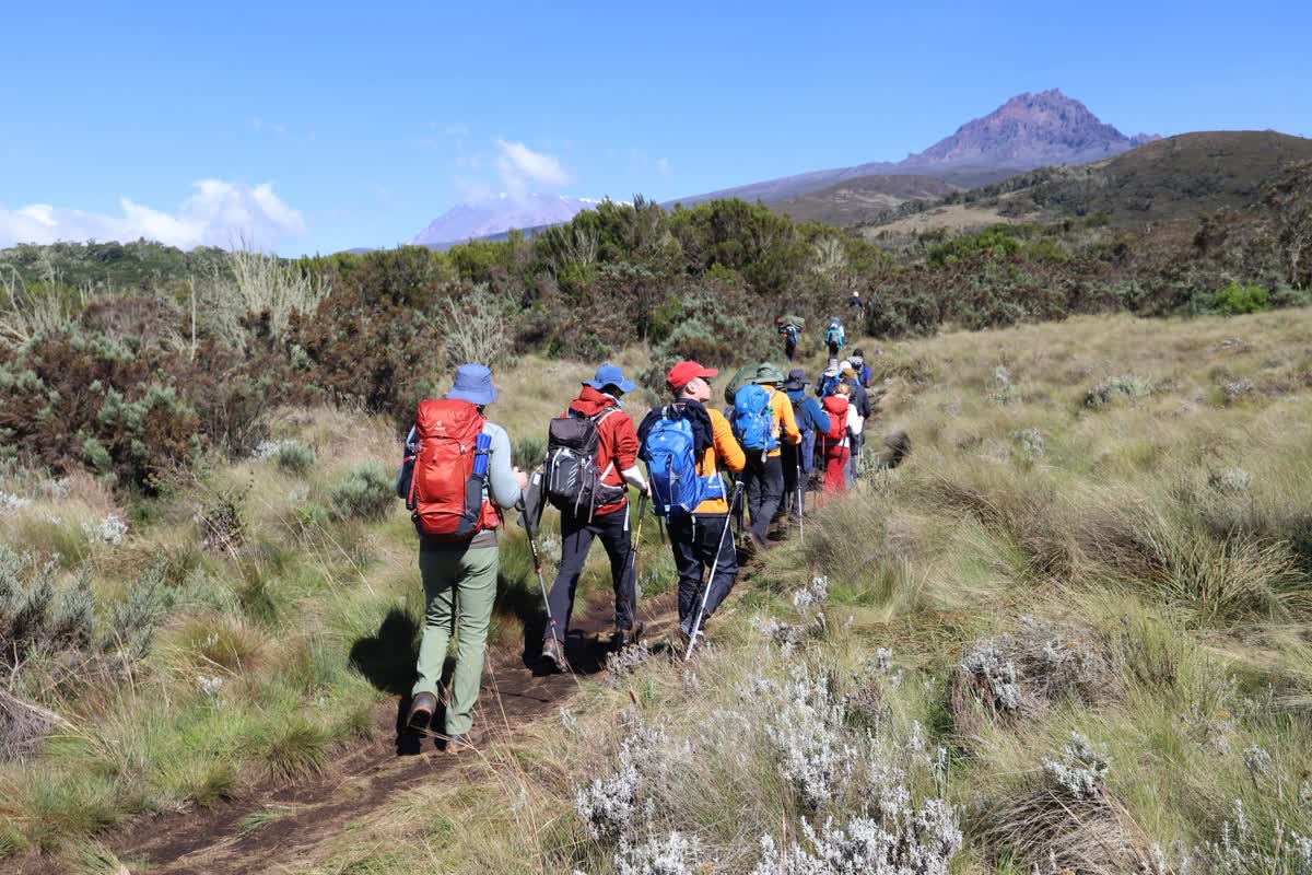 Grupo caminando en fila por el páramo del Kilimanjaro, con el Mawenzi al fondo