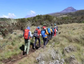 Kilimanjaro y safari, Tanzania